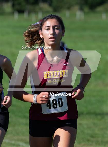 Thumbnail 1 in The Barnhardt Invitational  photogallery.