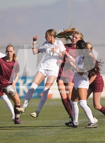 Thumbnail 3 in Ogden vs. Morgan (UHSAA 3A Final) photogallery.