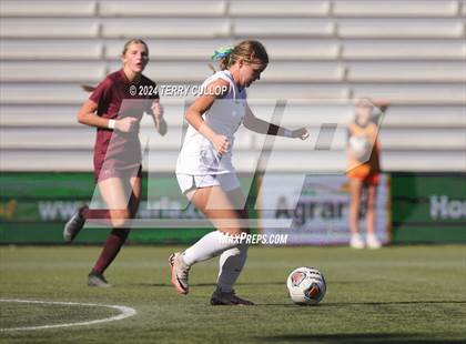 Thumbnail 1 in Ogden vs. Morgan (UHSAA 3A Final) photogallery.