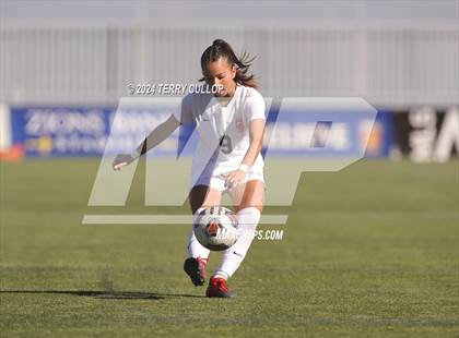 Thumbnail 2 in Ogden vs. Morgan (UHSAA 3A Final) photogallery.