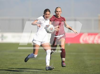 Thumbnail 3 in Ogden vs. Morgan (UHSAA 3A Final) photogallery.