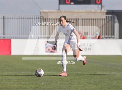 Thumbnail 2 in Ogden vs. Morgan (UHSAA 3A Final) photogallery.