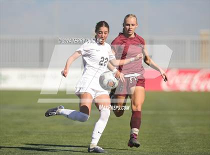 Thumbnail 1 in Ogden vs. Morgan (UHSAA 3A Final) photogallery.