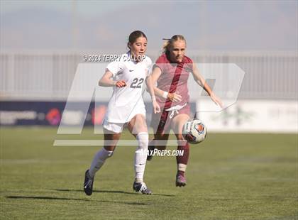 Thumbnail 2 in Ogden vs. Morgan (UHSAA 3A Final) photogallery.