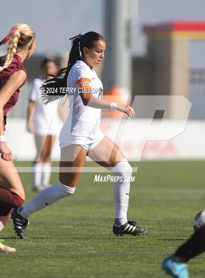Thumbnail 2 in Ogden vs. Morgan (UHSAA 3A Final) photogallery.