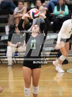 Photo from the gallery "Ponderosa @ St. Mary's"