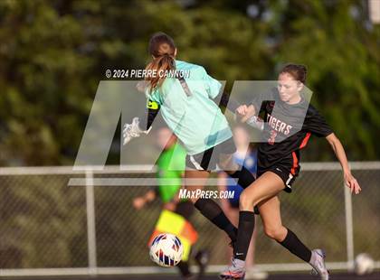 Thumbnail 2 in Tabb vs Brentsville District (VHSL Class 3 State Quarterfinal) photogallery.