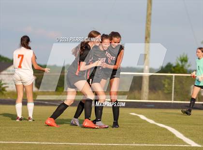 Thumbnail 1 in Tabb vs Brentsville District (VHSL Class 3 State Quarterfinal) photogallery.