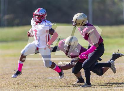 Thumbnail 3 in Suitland @ Douglass photogallery.