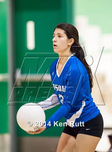 null - Photo 01