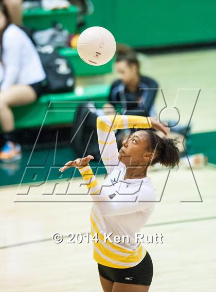 Thumbnail 3 in Bosque vs Cibola (Moriarty Invitaional Tournament) photogallery.