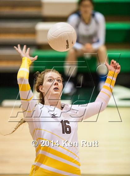 Thumbnail 3 in Bosque vs Cibola (Moriarty Invitaional Tournament) photogallery.