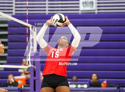 Thumbnail 3 in Pike @ Ben Davis photogallery.