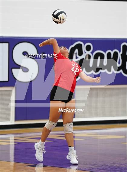 Thumbnail 1 in Pike @ Ben Davis photogallery.