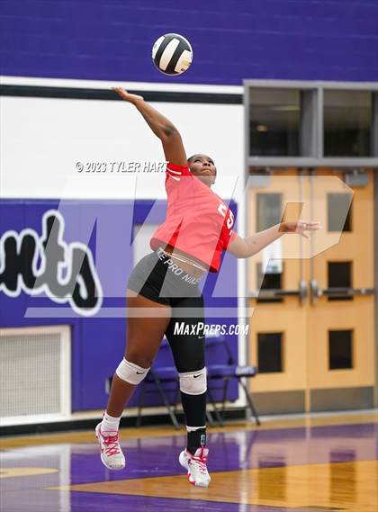 Thumbnail 3 in Pike @ Ben Davis photogallery.