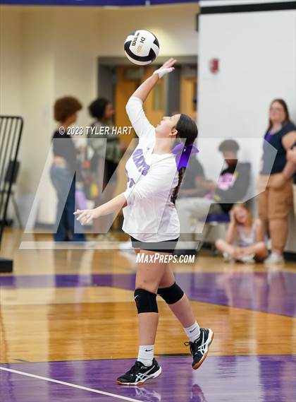 Thumbnail 2 in Pike @ Ben Davis photogallery.