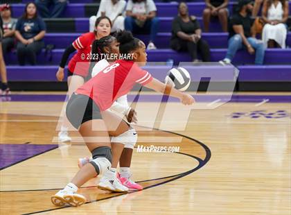 Thumbnail 2 in Pike @ Ben Davis photogallery.