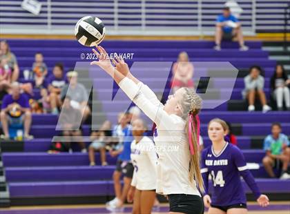 Thumbnail 2 in Pike @ Ben Davis photogallery.