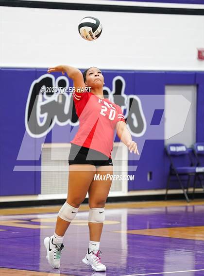 Thumbnail 2 in Pike @ Ben Davis photogallery.