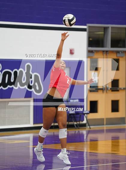 Thumbnail 2 in Pike @ Ben Davis photogallery.