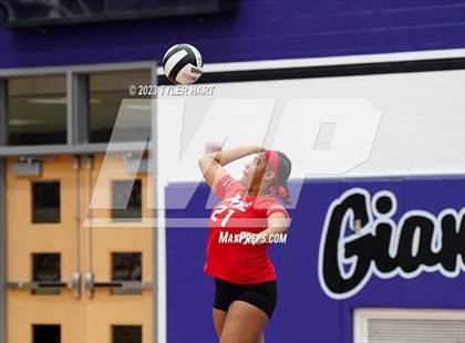 Thumbnail 2 in Pike @ Ben Davis photogallery.