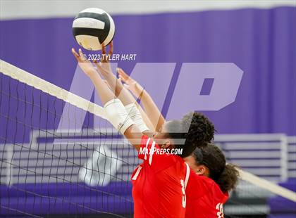 Thumbnail 2 in Pike @ Ben Davis photogallery.