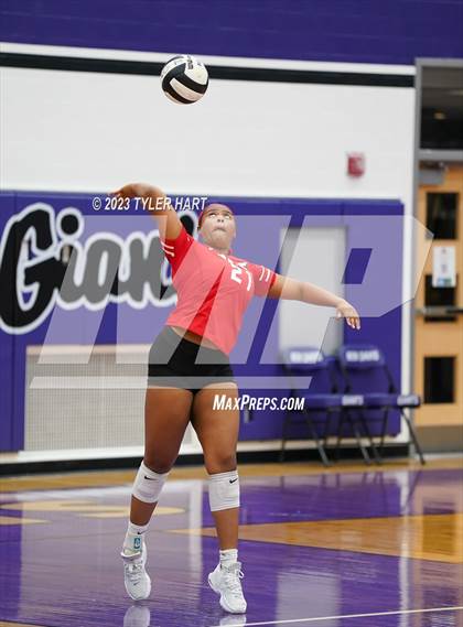 Thumbnail 1 in Pike @ Ben Davis photogallery.