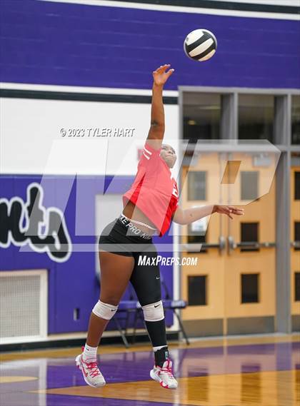 Thumbnail 1 in Pike @ Ben Davis photogallery.