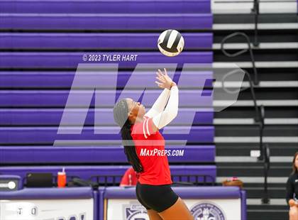 Thumbnail 1 in Pike @ Ben Davis photogallery.