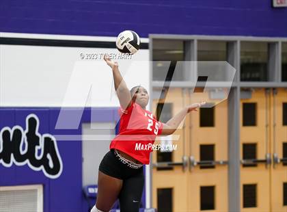 Thumbnail 3 in Pike @ Ben Davis photogallery.