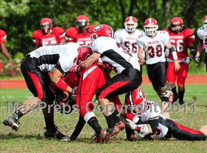 Thumbnail 1 in Cheshire @ Wilbur Cross photogallery.