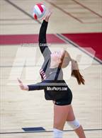 Photo from the gallery "Freedom @ Gainesville"