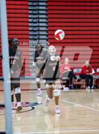 Photo from the gallery "Freedom @ Gainesville"