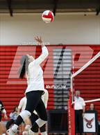 Photo from the gallery "Freedom @ Gainesville"