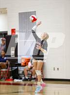 Photo from the gallery "Freedom @ Gainesville"