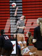 Photo from the gallery "Freedom @ Gainesville"