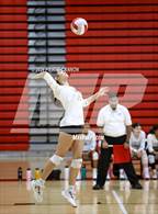 Photo from the gallery "Freedom @ Gainesville"