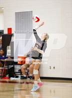 Photo from the gallery "Freedom @ Gainesville"