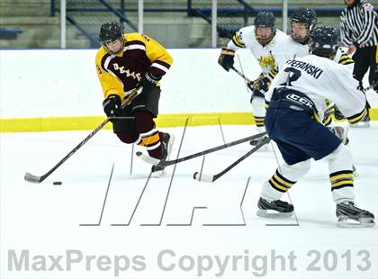 Thumbnail 2 in Dexter vs Manistee (Jenison Tournament) photogallery.