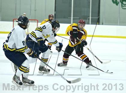 Thumbnail 1 in Dexter vs Manistee (Jenison Tournament) photogallery.