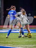 Photo from the gallery "Alma @ Harrison"
