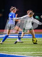 Photo from the gallery "Alma @ Harrison"