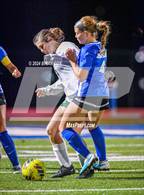 Photo from the gallery "Alma @ Harrison"