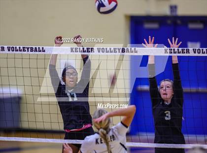 Thumbnail 1 in Birdville @ Keller photogallery.