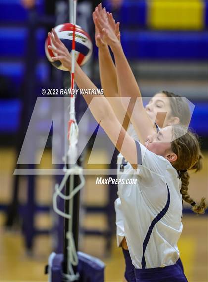 Thumbnail 1 in Birdville @ Keller photogallery.
