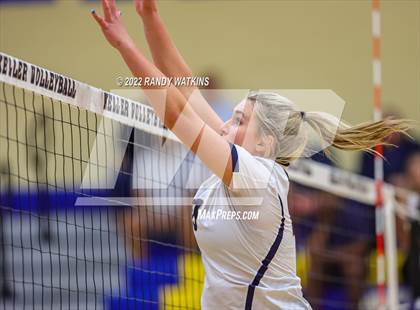 Thumbnail 2 in Birdville @ Keller photogallery.