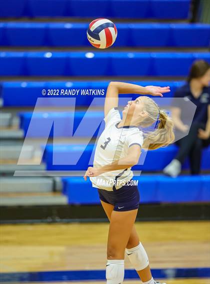 Thumbnail 2 in Birdville @ Keller photogallery.