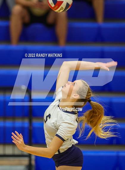 Thumbnail 1 in Birdville @ Keller photogallery.