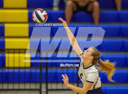 Thumbnail 2 in Birdville @ Keller photogallery.