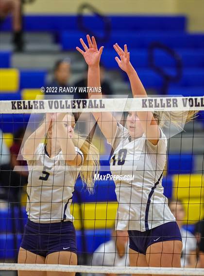 Thumbnail 3 in Birdville @ Keller photogallery.